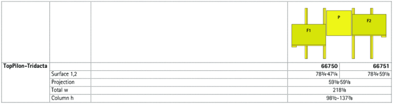 TopPilon-Tridacta
